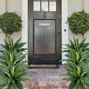 🔥Last Day 60% OFF🌿TLOPA®UV Resistant Lifelike Artificial Boston Fern