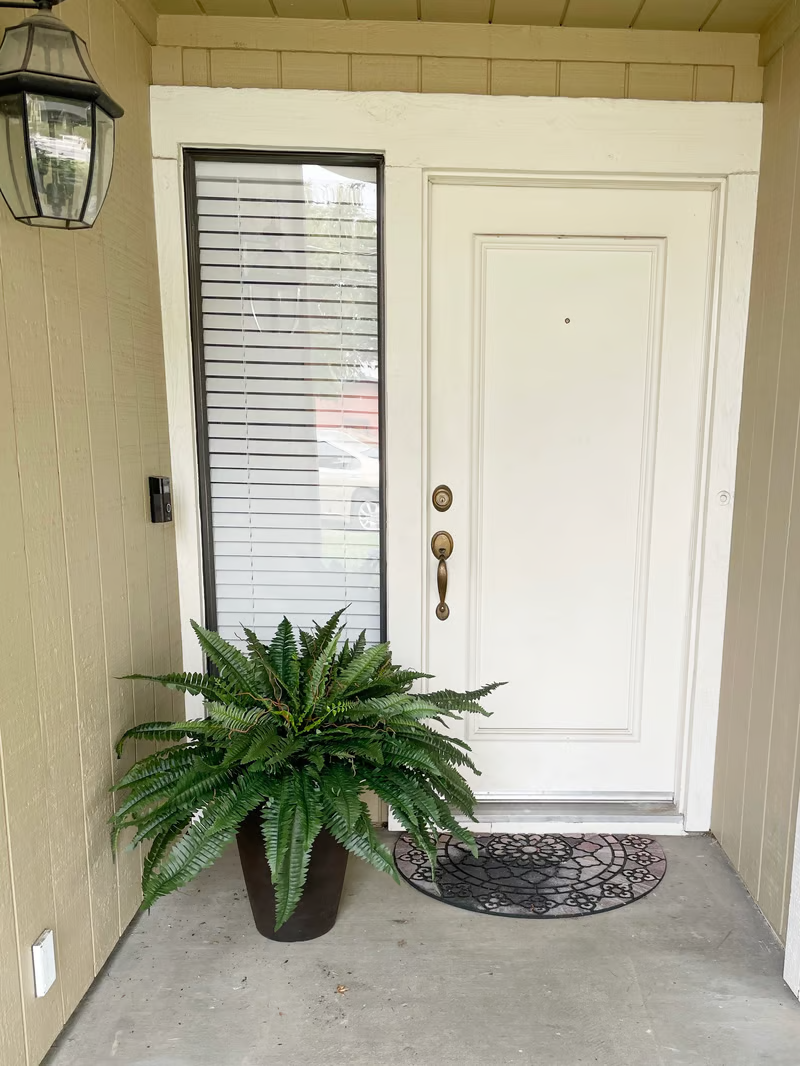 🔥Last Day 60% OFF🌿TLOPA®UV Resistant Lifelike Artificial Boston Fern