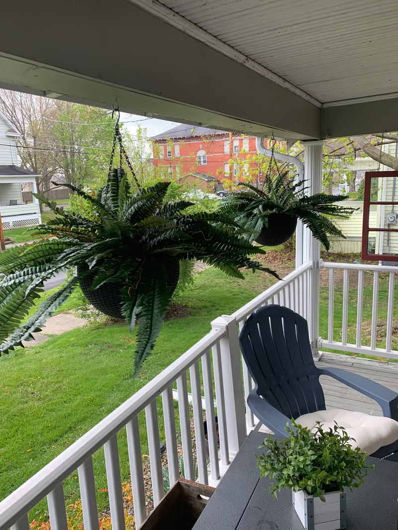 🔥Last Day 60% OFF🌿TLOPA®UV Resistant Lifelike Artificial Boston Fern