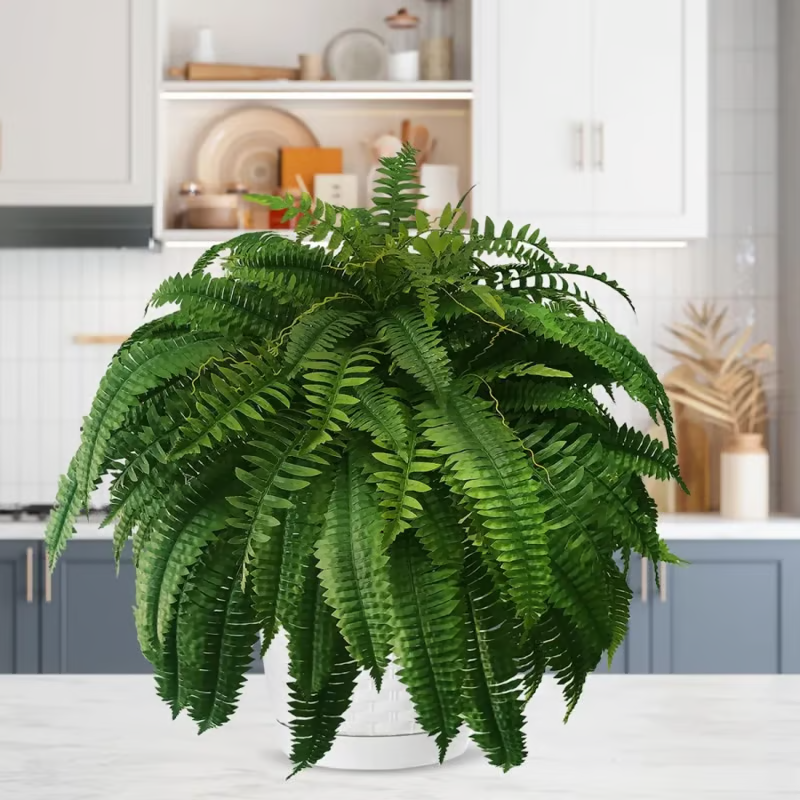 🔥Last Day 60% OFF🌿TLOPA®UV Resistant Lifelike Artificial Boston Fern