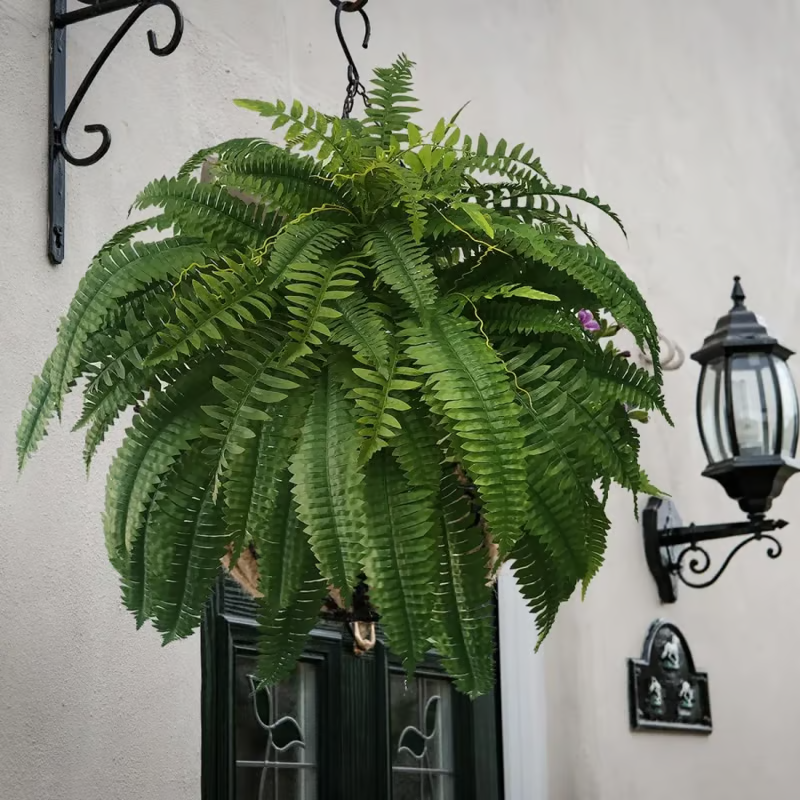 🔥Last Day 60% OFF🌿TLOPA®UV Resistant Lifelike Artificial Boston Fern