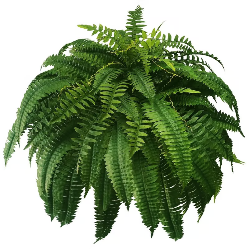🔥Last Day 60% OFF🌿TLOPA®UV Resistant Lifelike Artificial Boston Fern