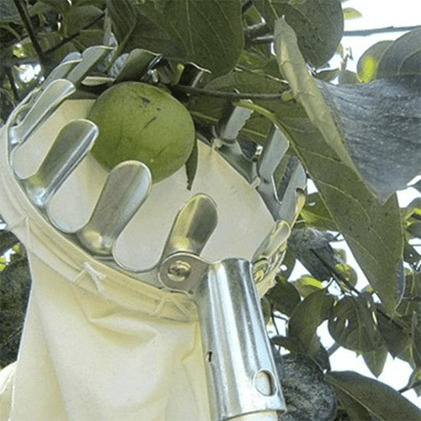 TLOPA® Fruit Picker Head Basket(Diameter 16CM)