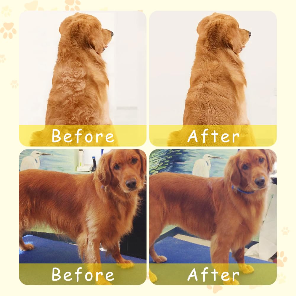 ⏰Last Day Promotion: 80% OFF🔥 Patented Exclusive Rechargeable Steam Pet Brush