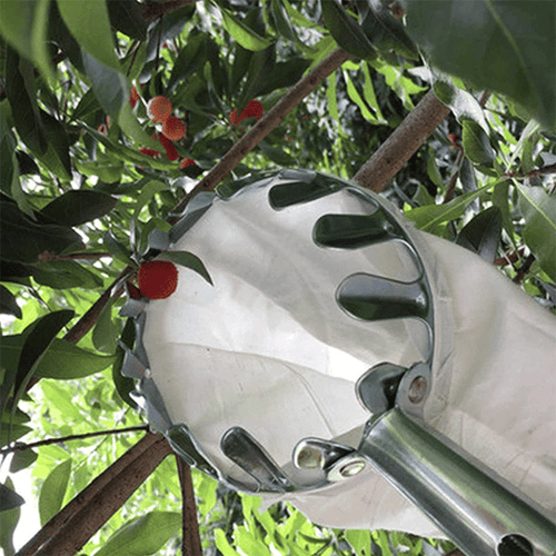 TLOPA® Fruit Picker Head Basket(Diameter 16CM)