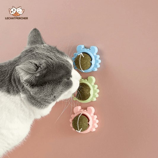 TLOPA® Catnip Wall Ball