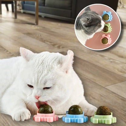 TLOPA® Catnip Wall Ball