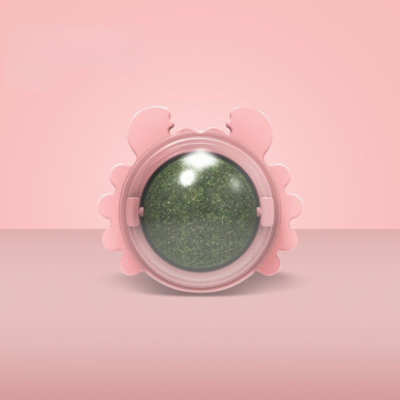 TLOPA® Catnip Wall Ball
