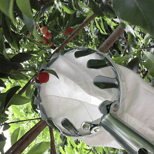 TLOPA® Fruit Picker Head Basket(Diameter 16CM)